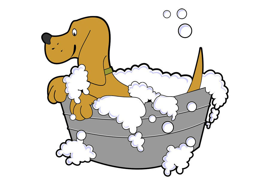 Coloring page dog wash