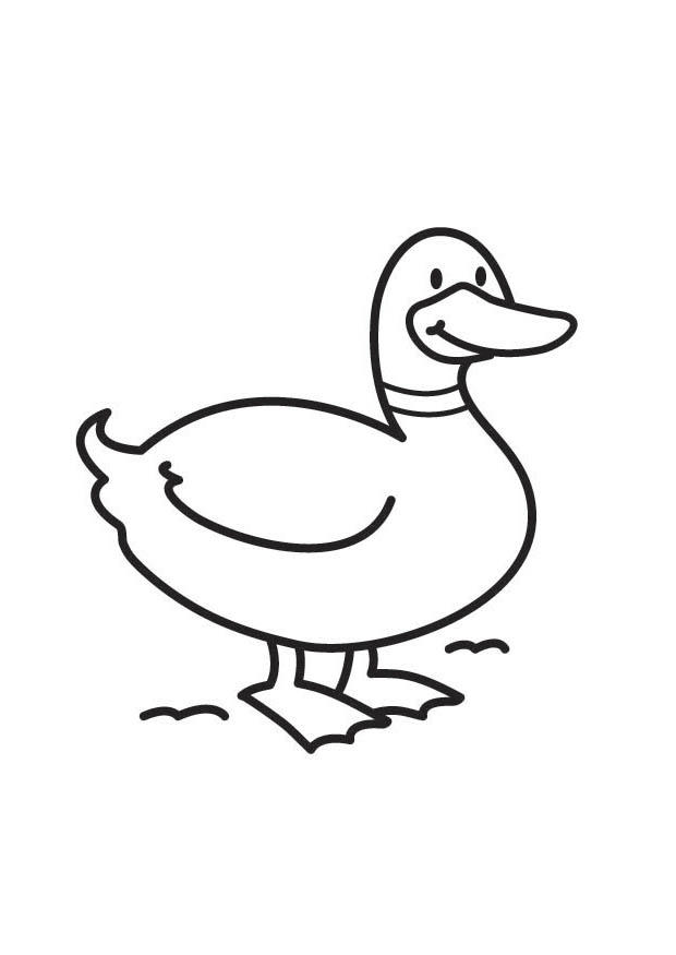 Coloring page duck