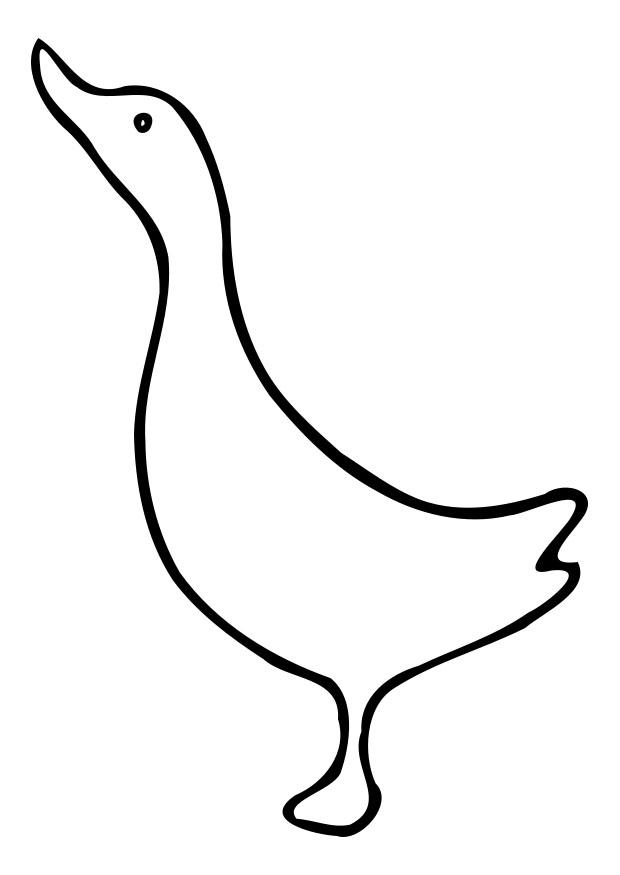 Coloring page duck