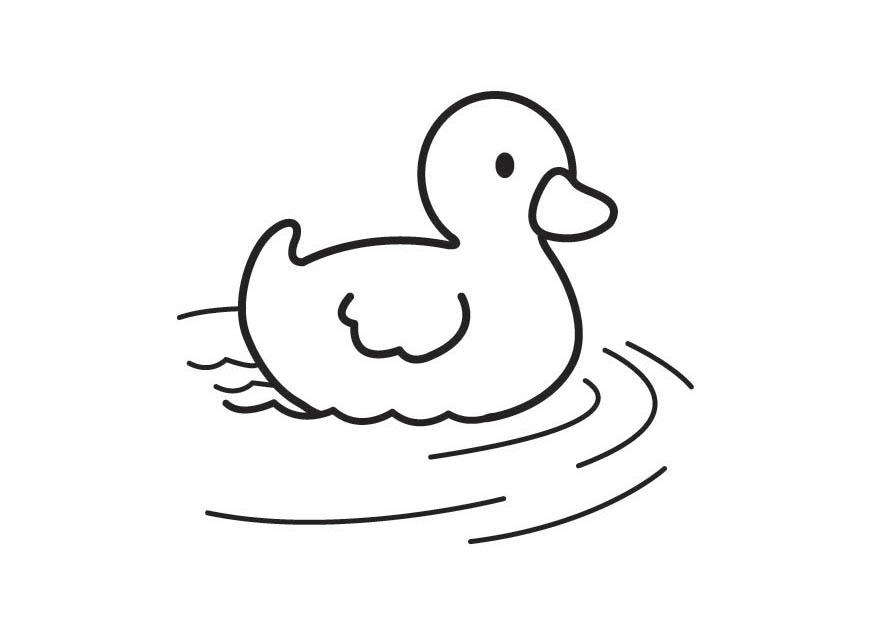 Coloring page duckling