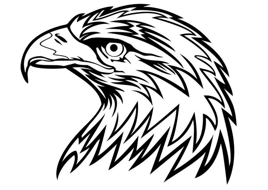 Coloring page eagle