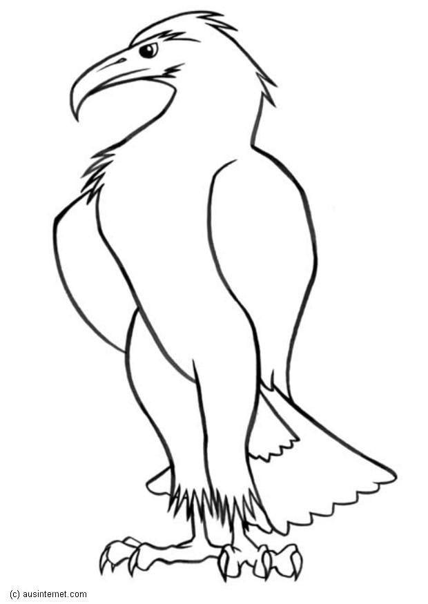 Coloring page eagle