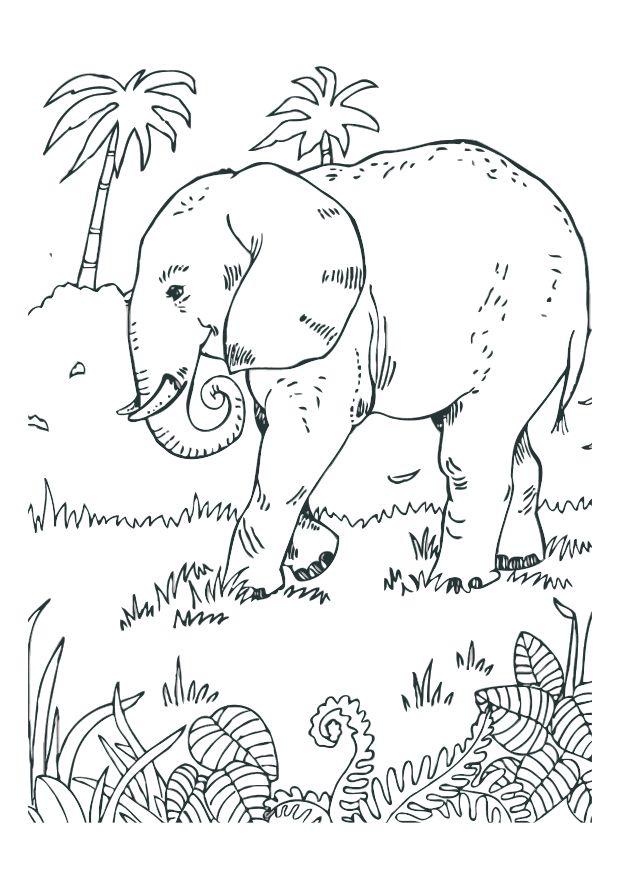 Coloring page elephant