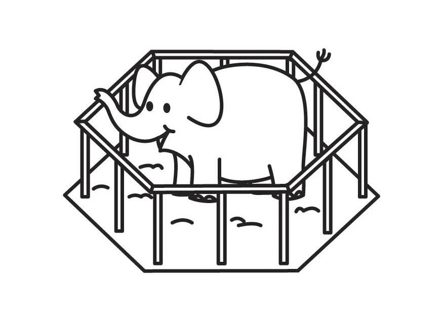 Coloring page elephant in cage