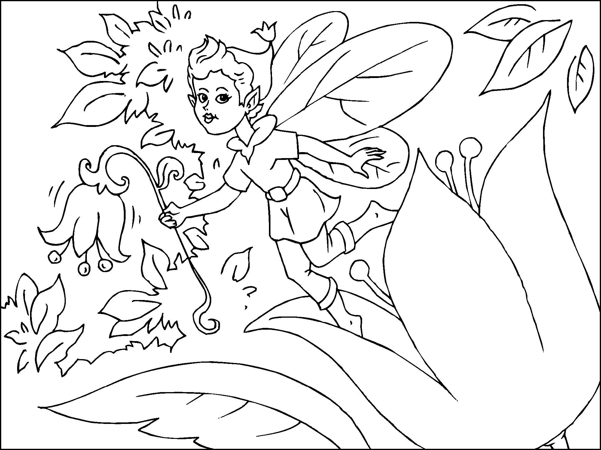 Coloring page fairy