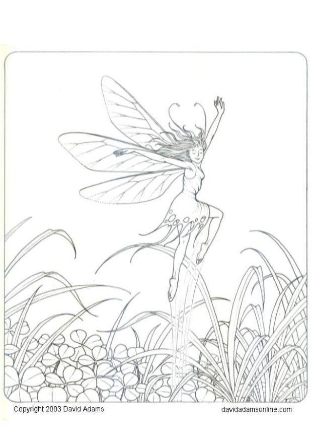 Coloring page fairy