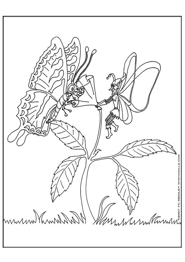 Coloring page fairy and butterfly