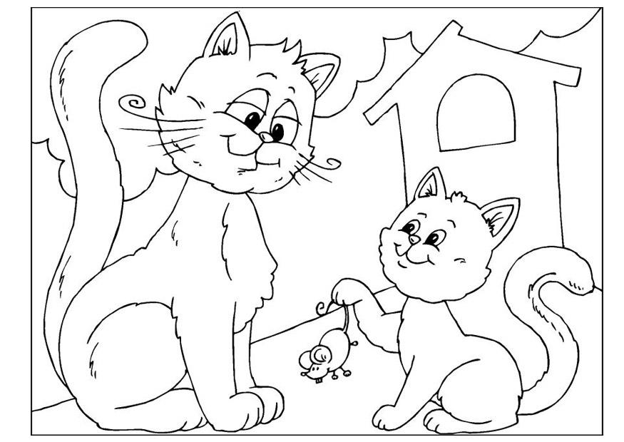 Coloring page fathers day - cats