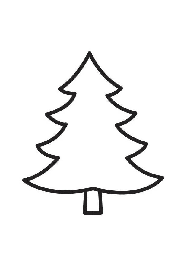 Coloring page fir tree