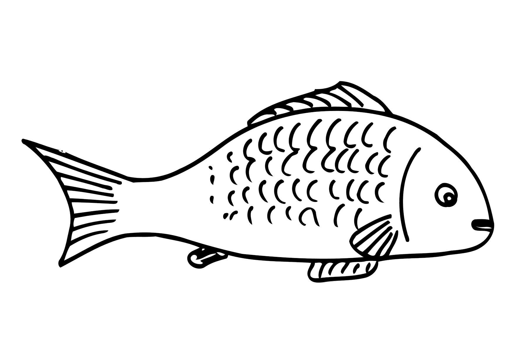 Coloring page fish