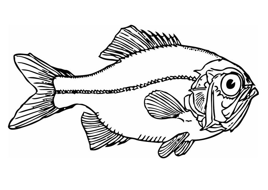 Coloring page fish