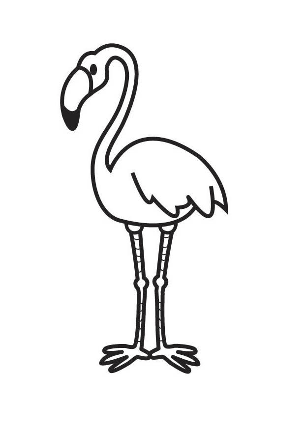 Coloring page flamingo