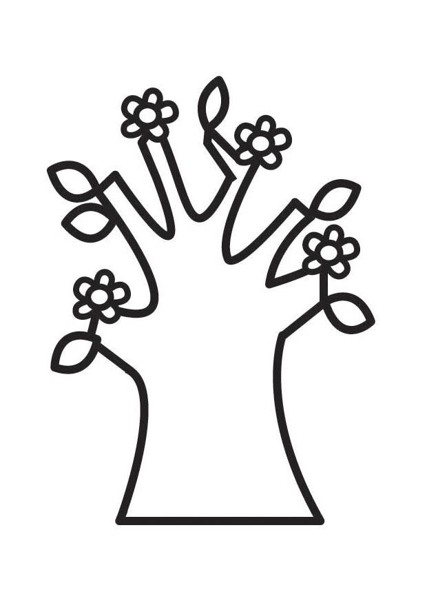 Coloring page flowering tree in spring