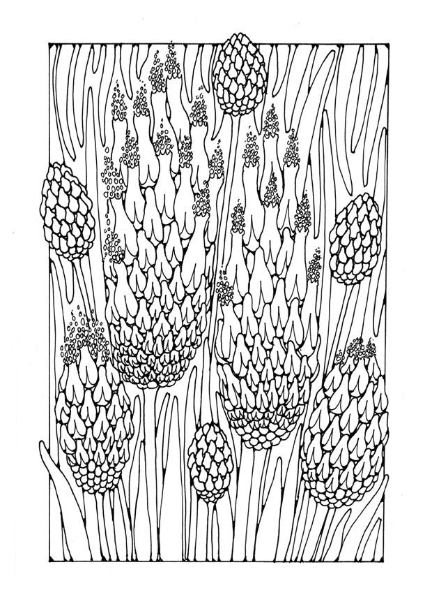 Coloring page flowers