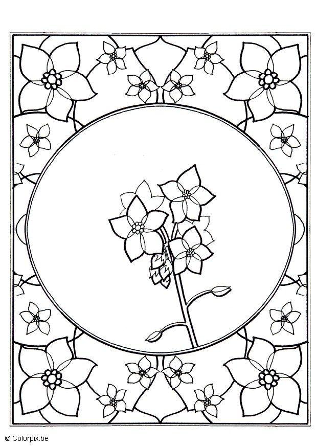 Coloring page forget-me-not