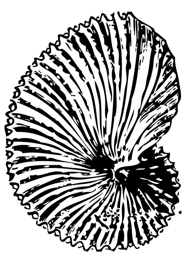 Coloring page fossil