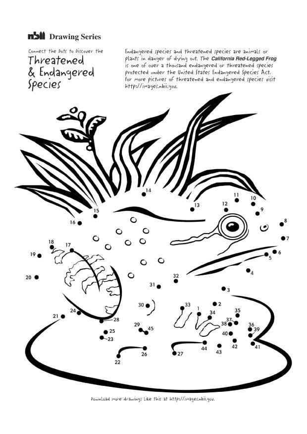 Coloring page frog