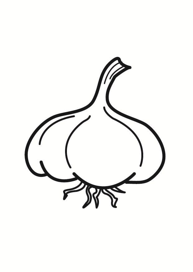 Coloring page garlic