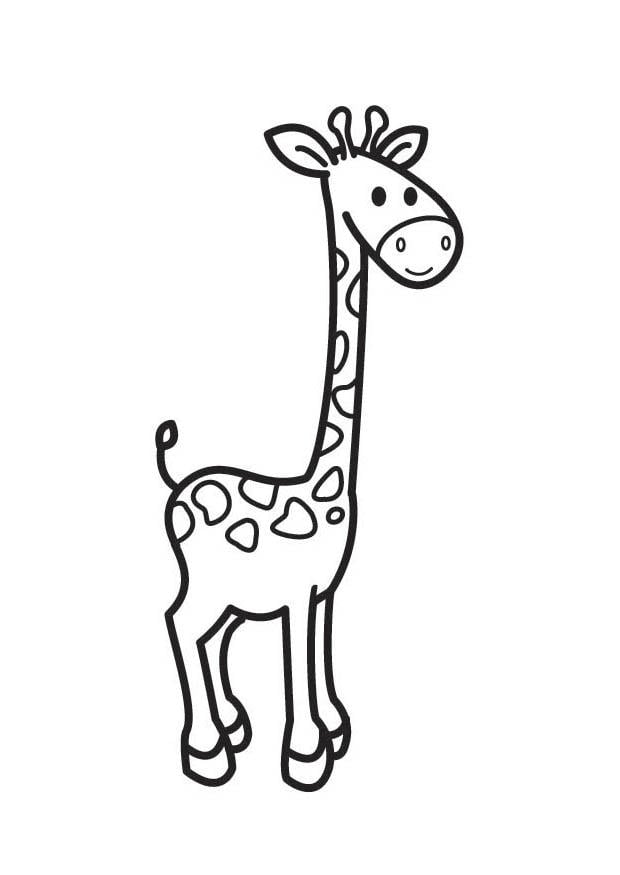 Coloring page giraffe