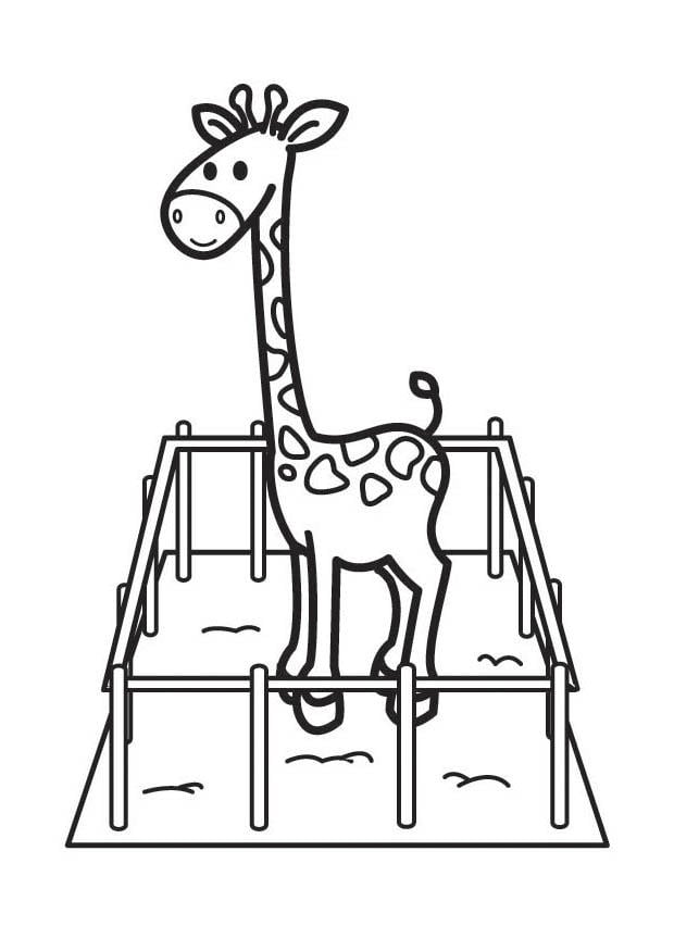 Coloring page giraffe