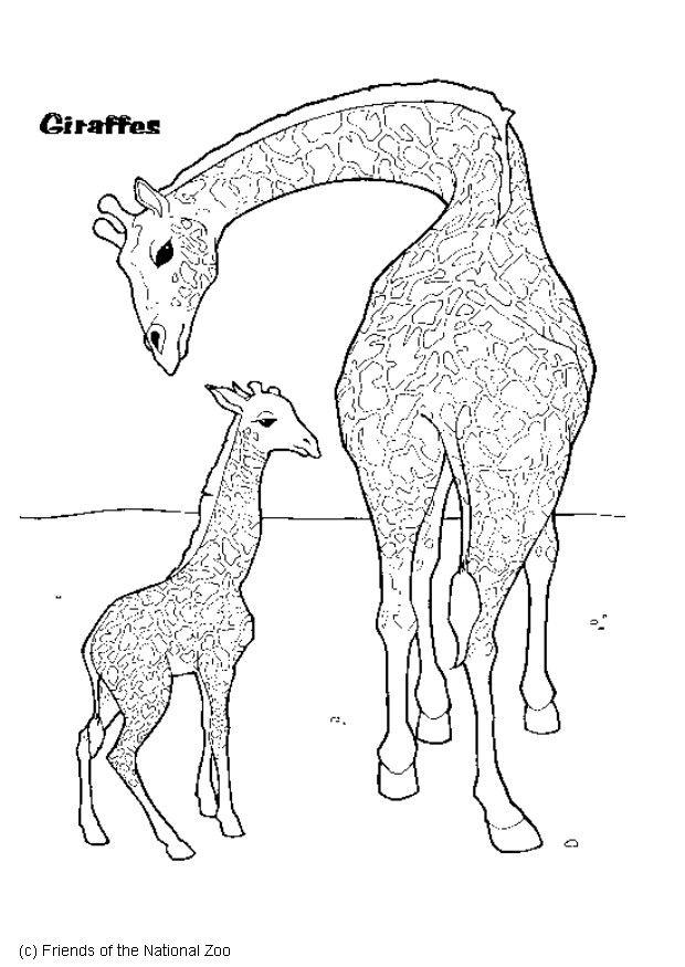 Coloring page giraffe