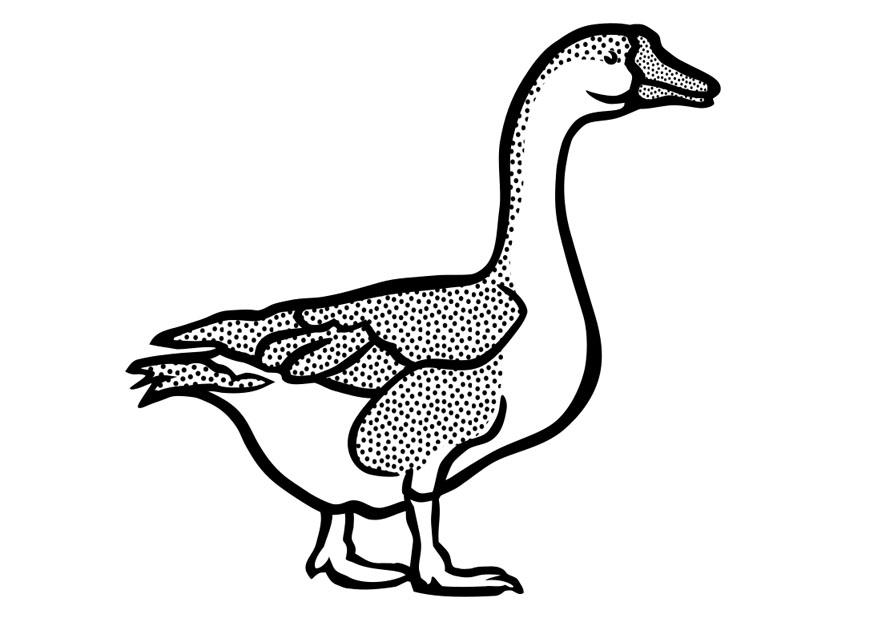 Coloring page goose