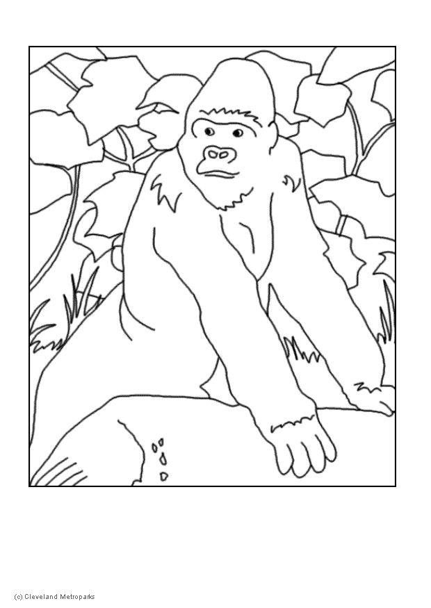 Coloring page gorilla