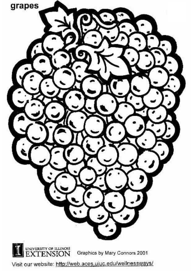 Coloring page grapes