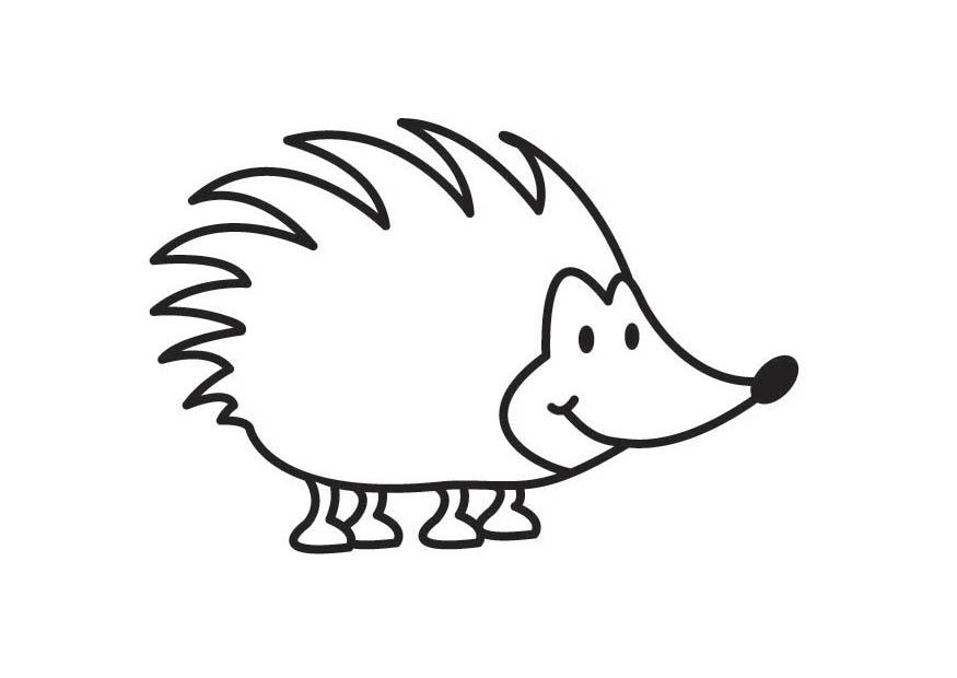 Coloring page hedgehog