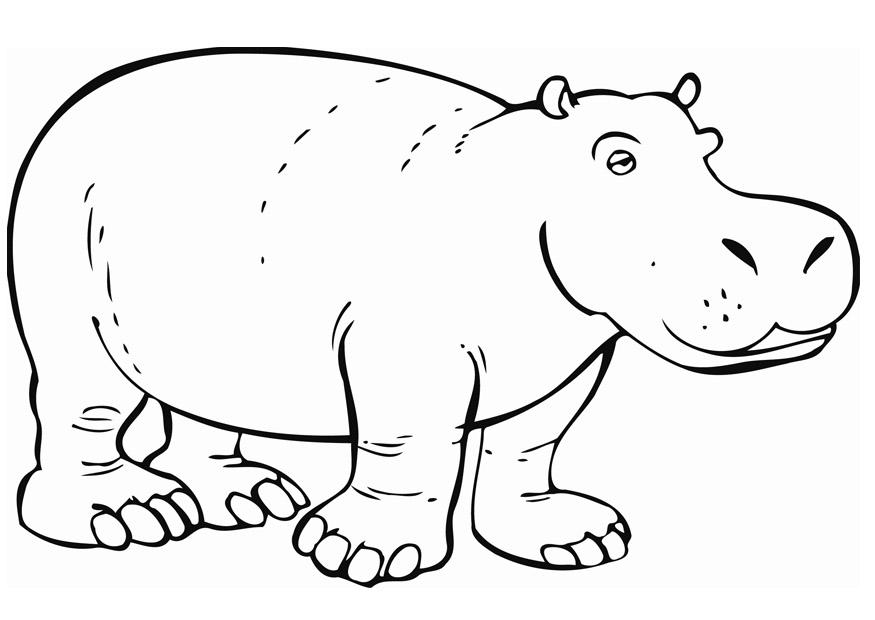 Coloring page hippopotamus