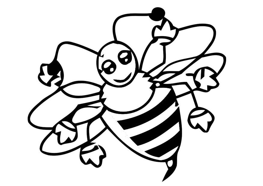 Coloring page honey bee