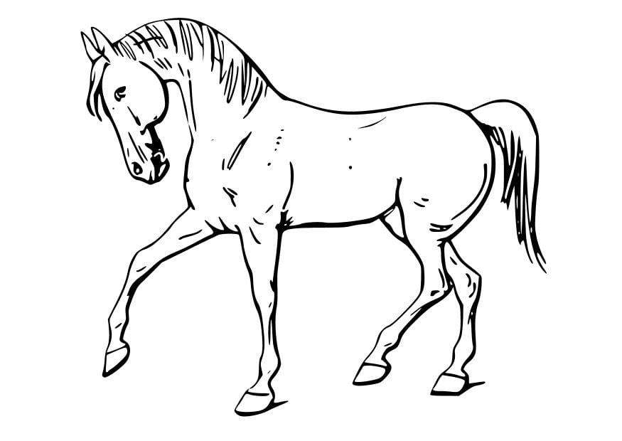 Coloring page horse