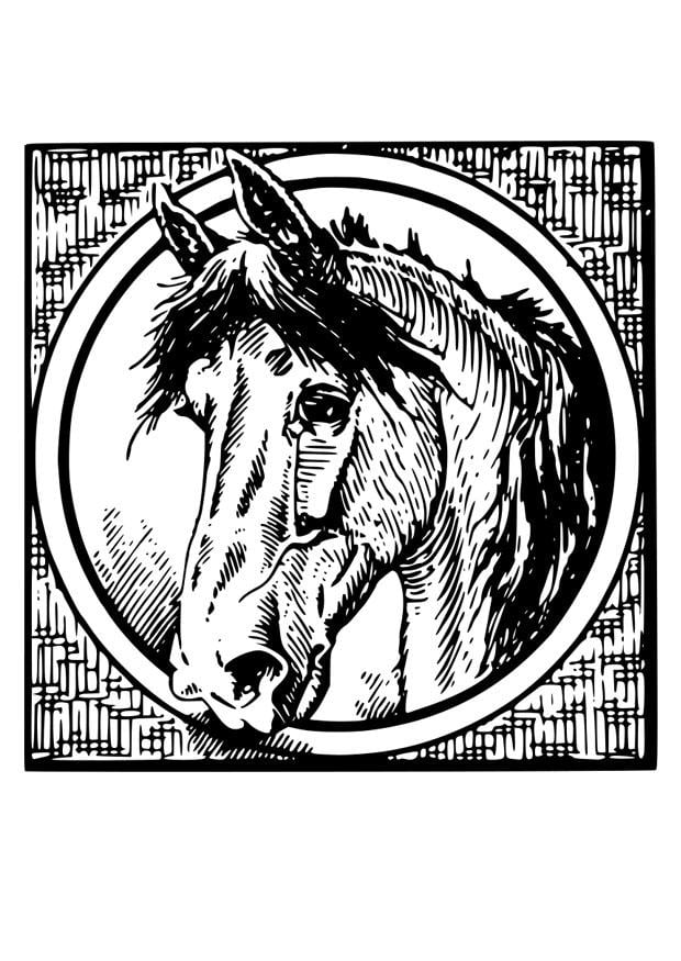 Coloring page horse