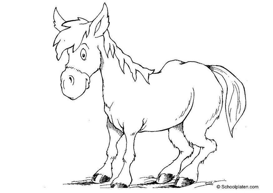 Coloring page horse