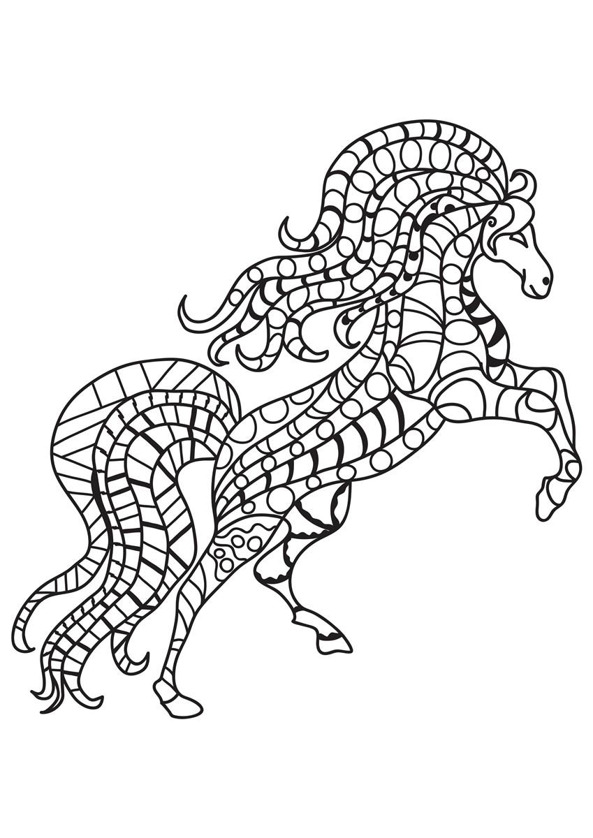 Coloring page horse rears