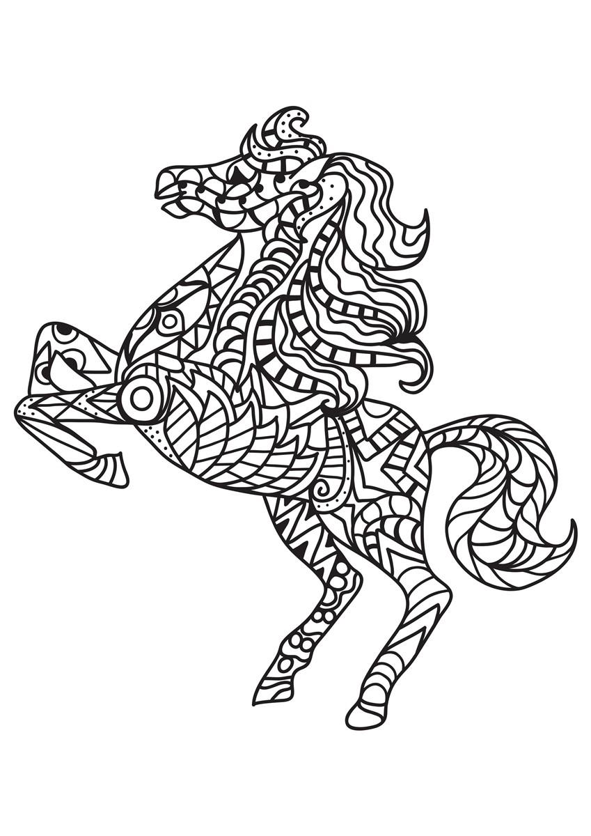 Coloring page horse rears