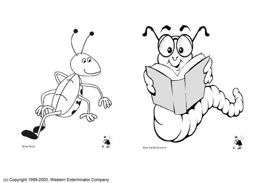 Coloring page insects