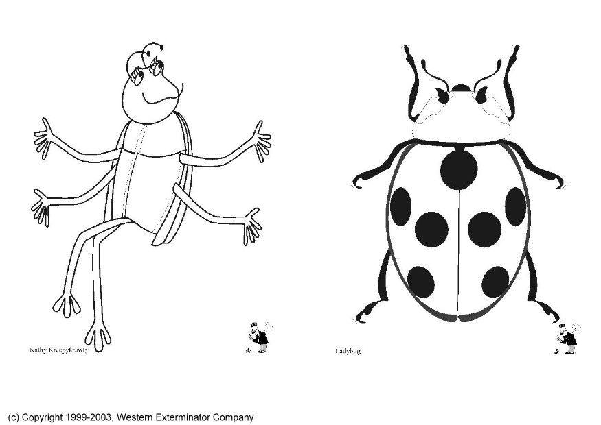 Coloring page insects