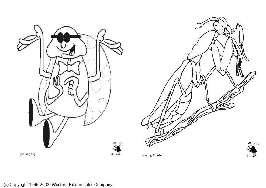 Coloring page insects