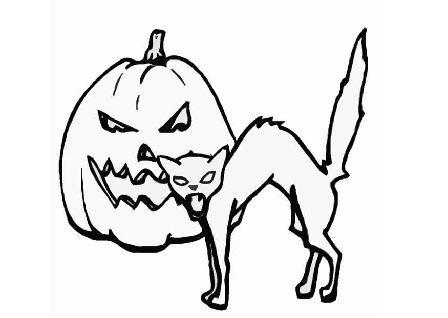 Coloring page jack-o-lantern and cat