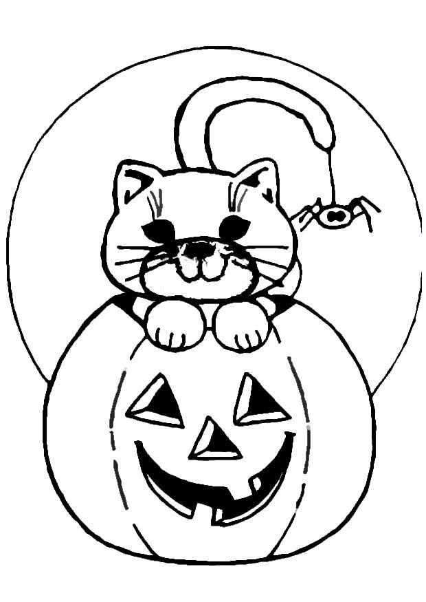 Coloring page jack-o-lantern and cat