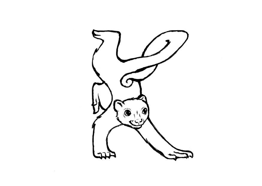 Coloring page k-kinkajou