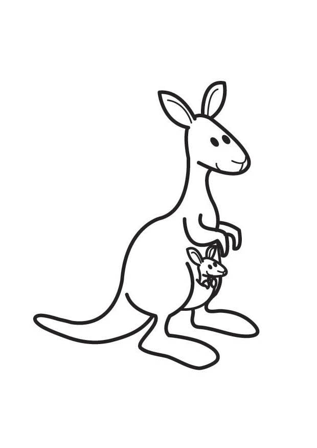 Coloring page kangaroo