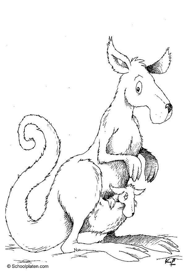 Coloring page kangaroo