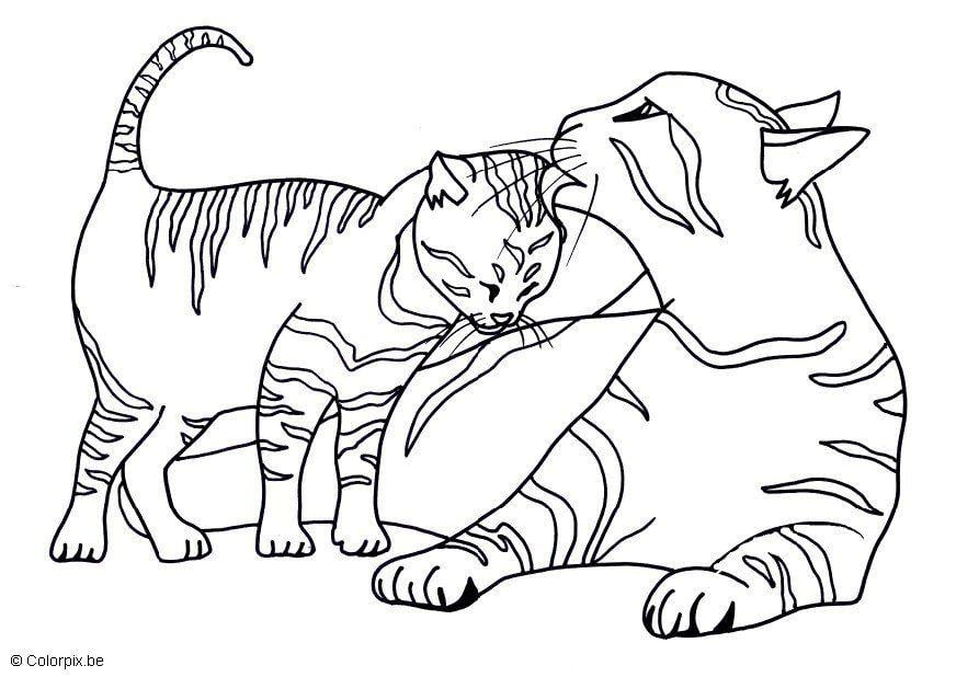 Coloring page kittens