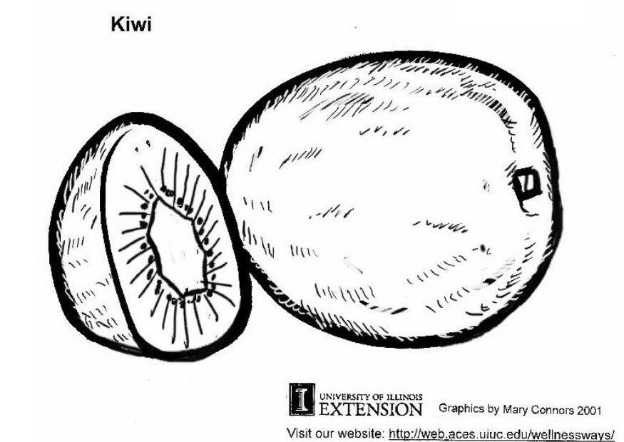 Coloring page kiwi