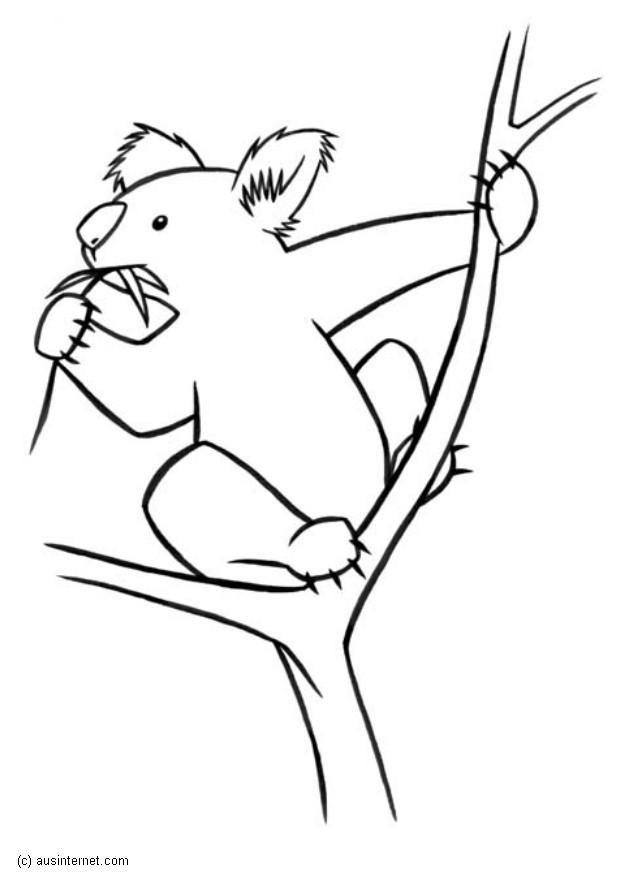 Coloring page koala