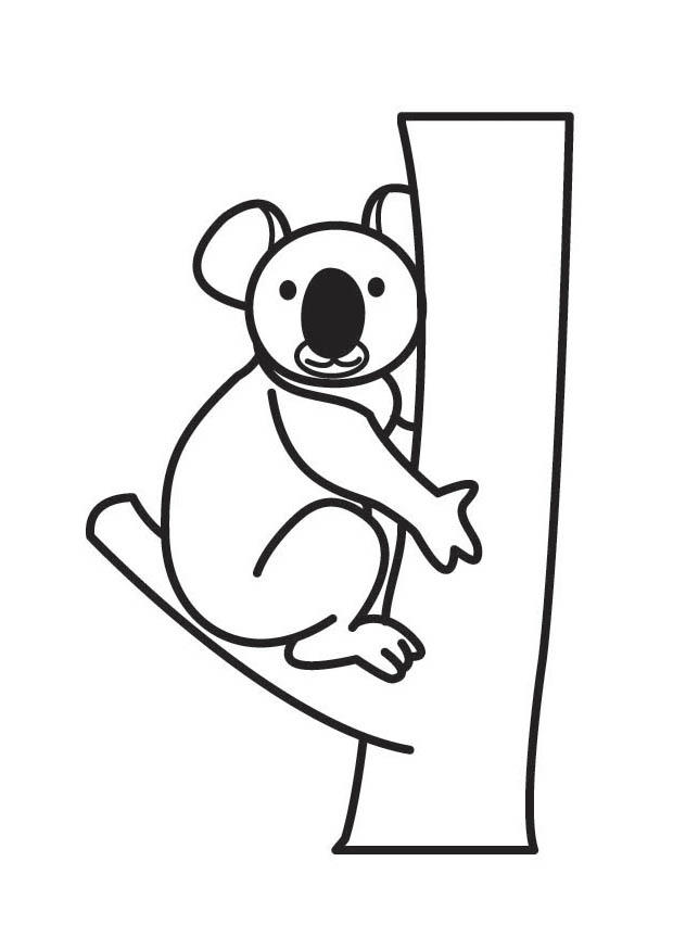 Coloring page koala bear