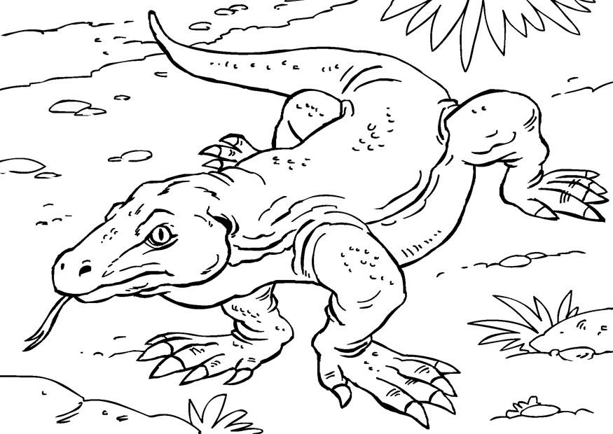 Coloring page komodo dragon