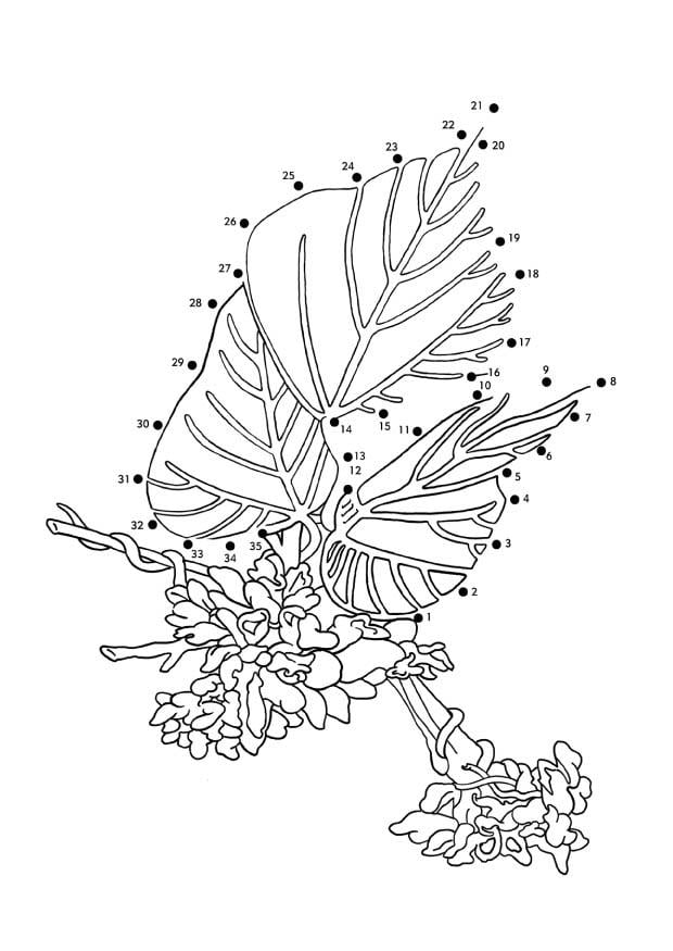 Coloring page kudzu